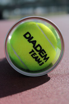 DIADEM PREMIER TEAM BALL - CAN