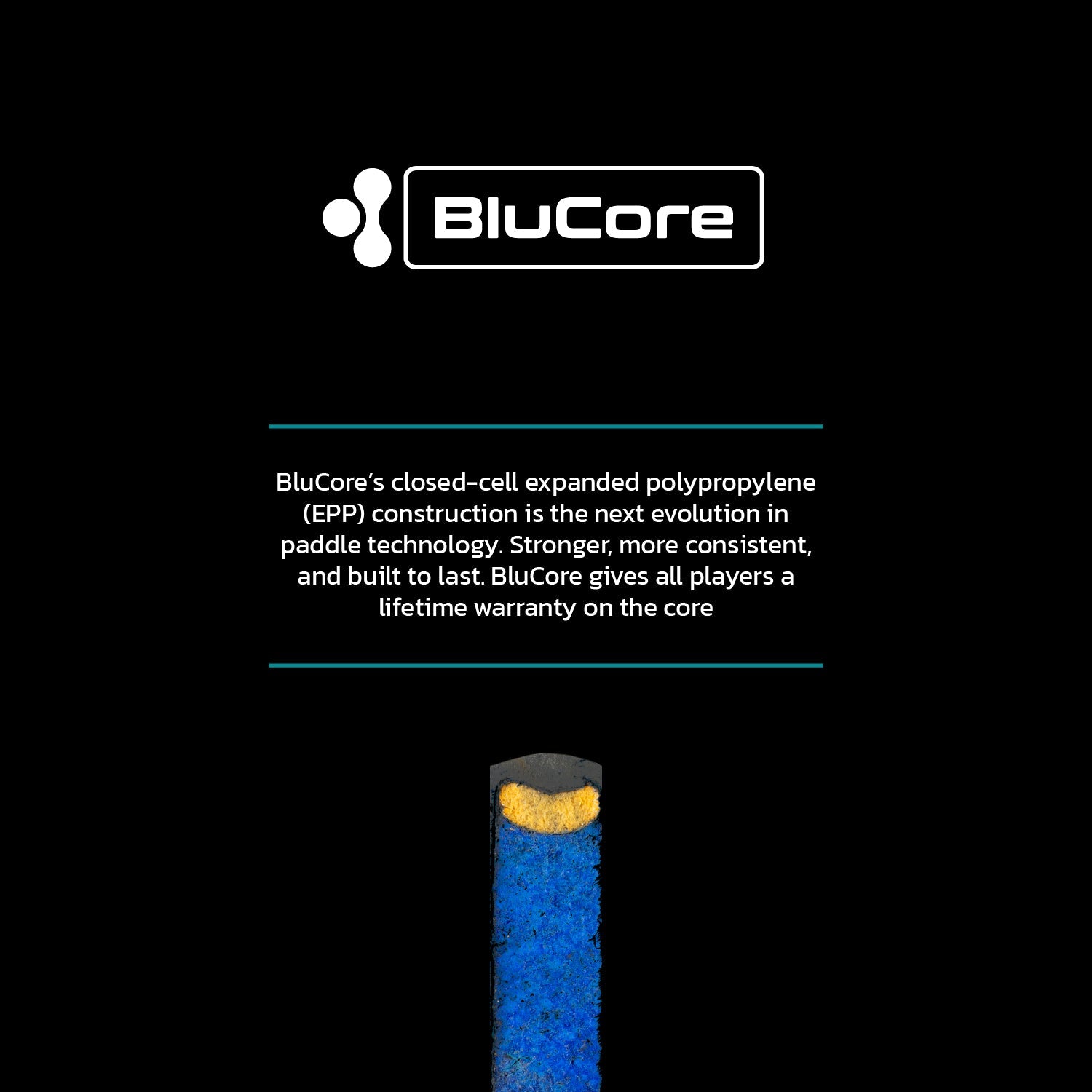 WARRIOR BLUECORE (PRO)